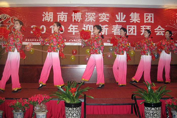 2010年 湖南博深实业集团迎新春团拜会