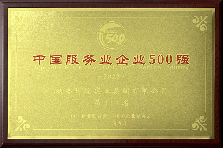 2022中国服务业企业500强