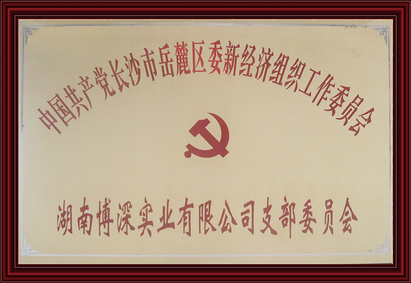 支部证书