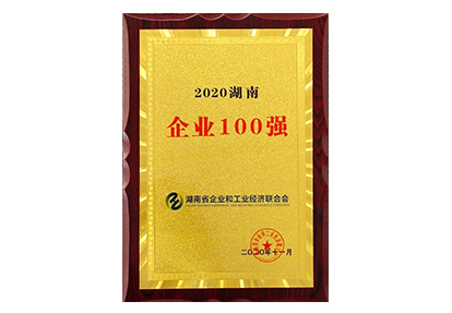 2020湖南企业100强