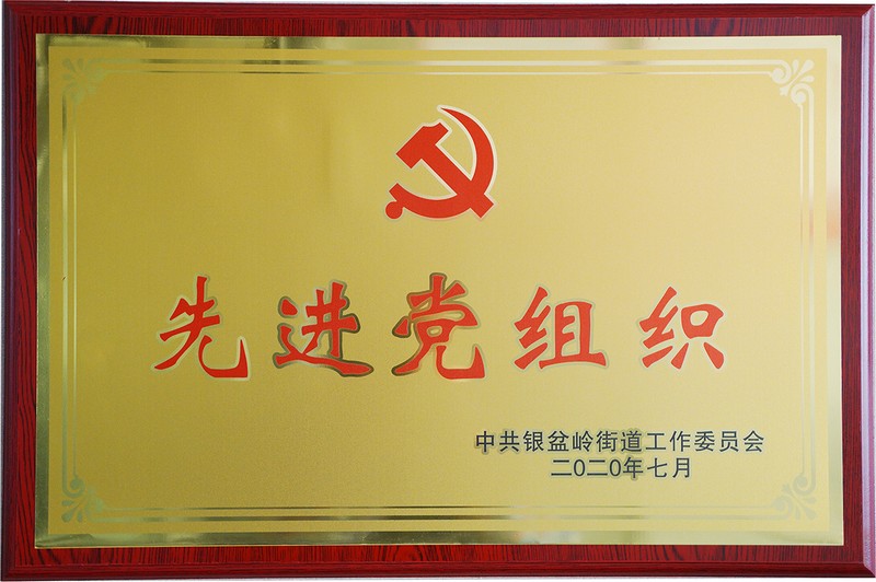 2020年度先进党组织